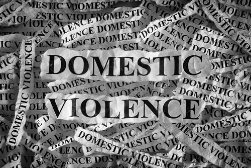 The definition of domestic violence differs by state.